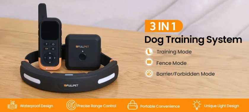 dog training system