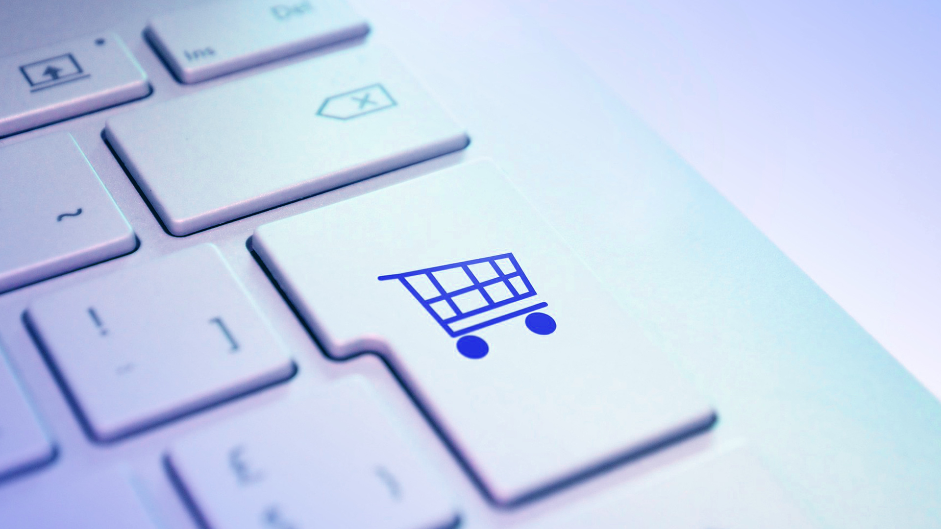 Top 8 Profitable Dropshipping Niches for Beginners in 2025