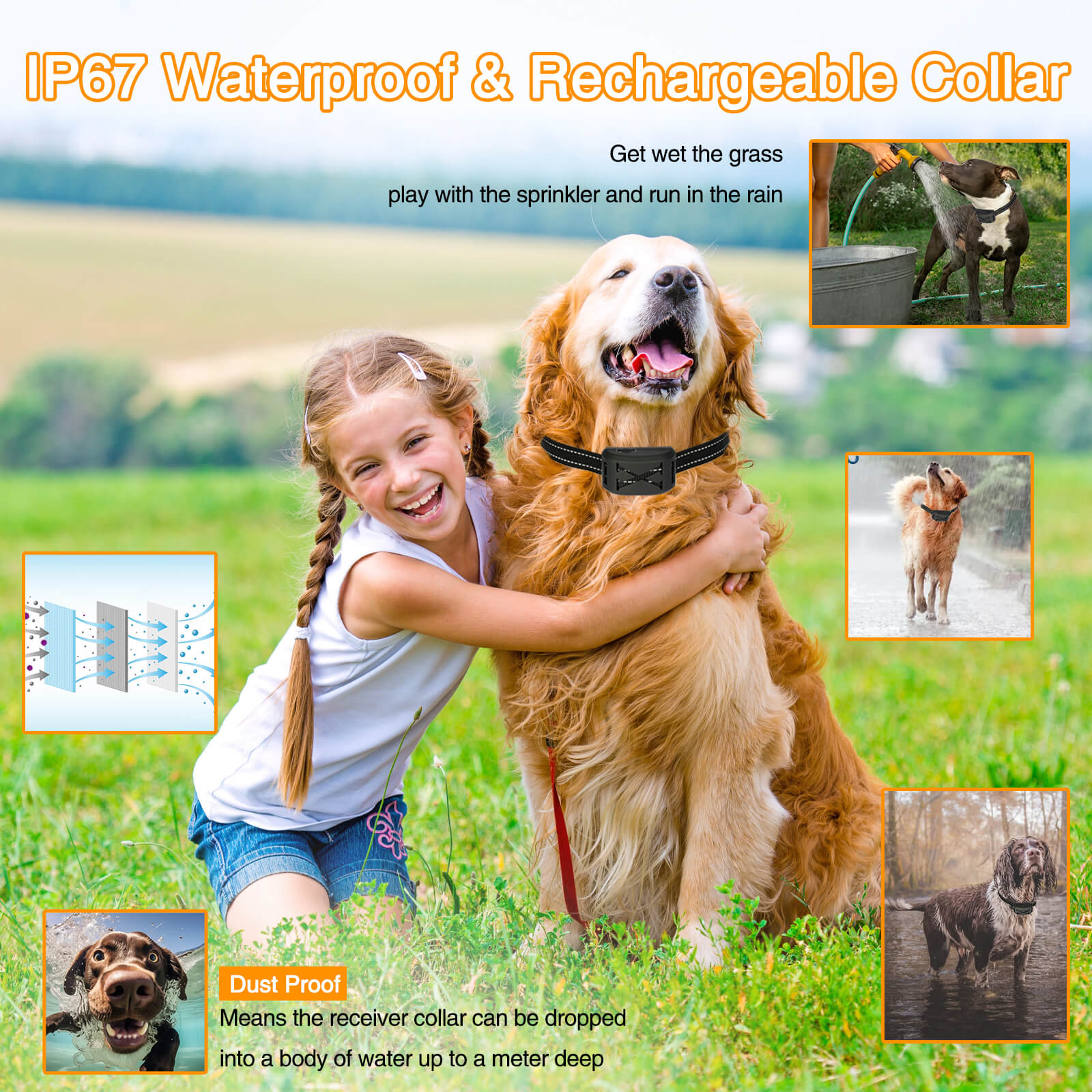 dogfencemain8.jpg