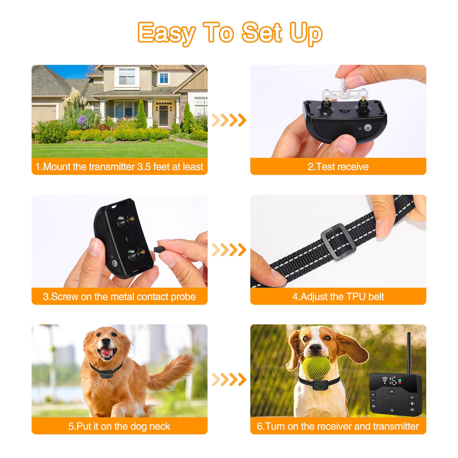 dogfencemain6.jpg