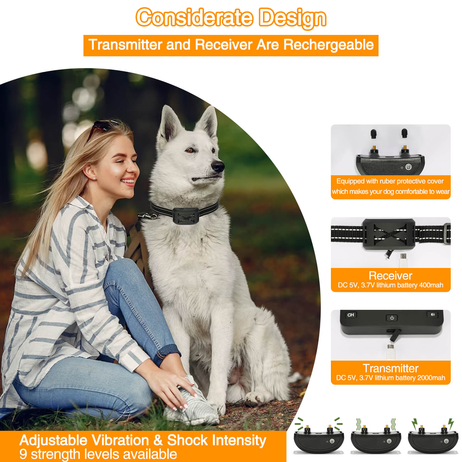 dogfencemain5.jpg