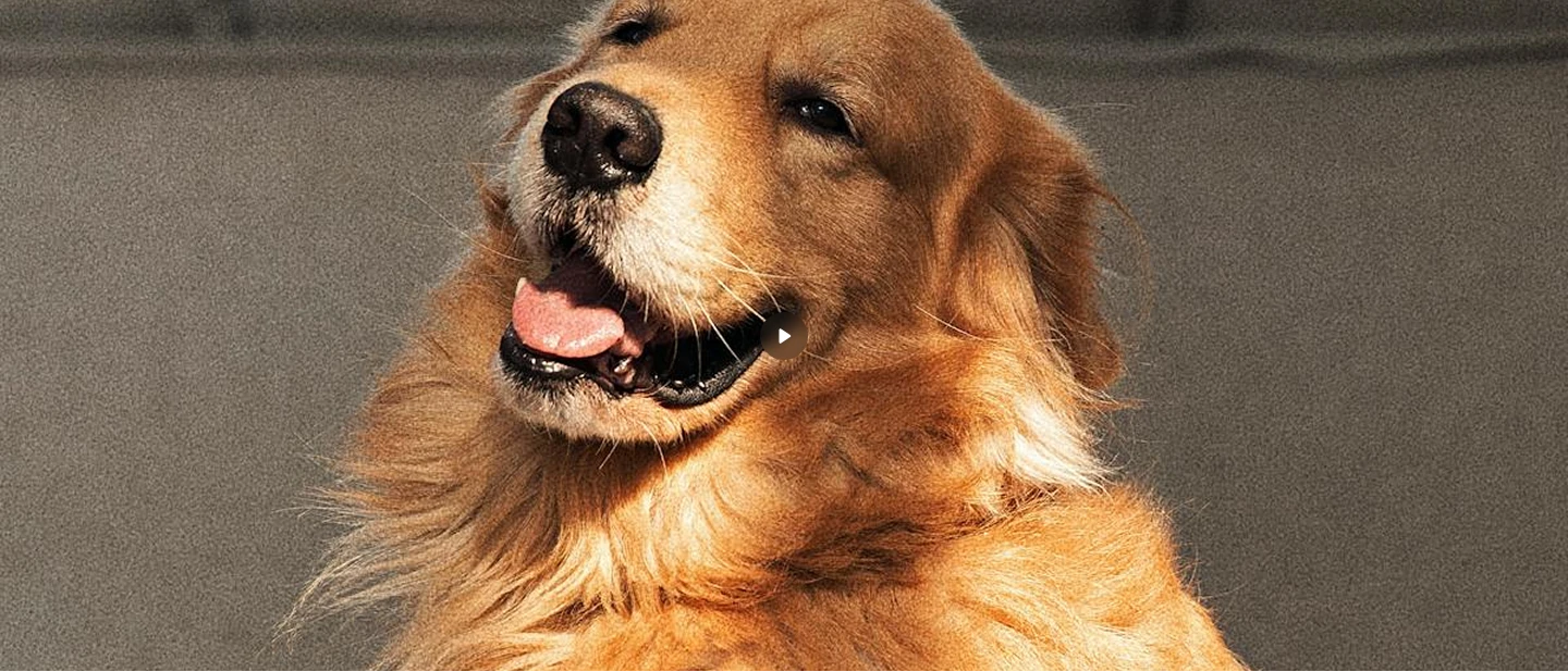 Load video: Potion beats