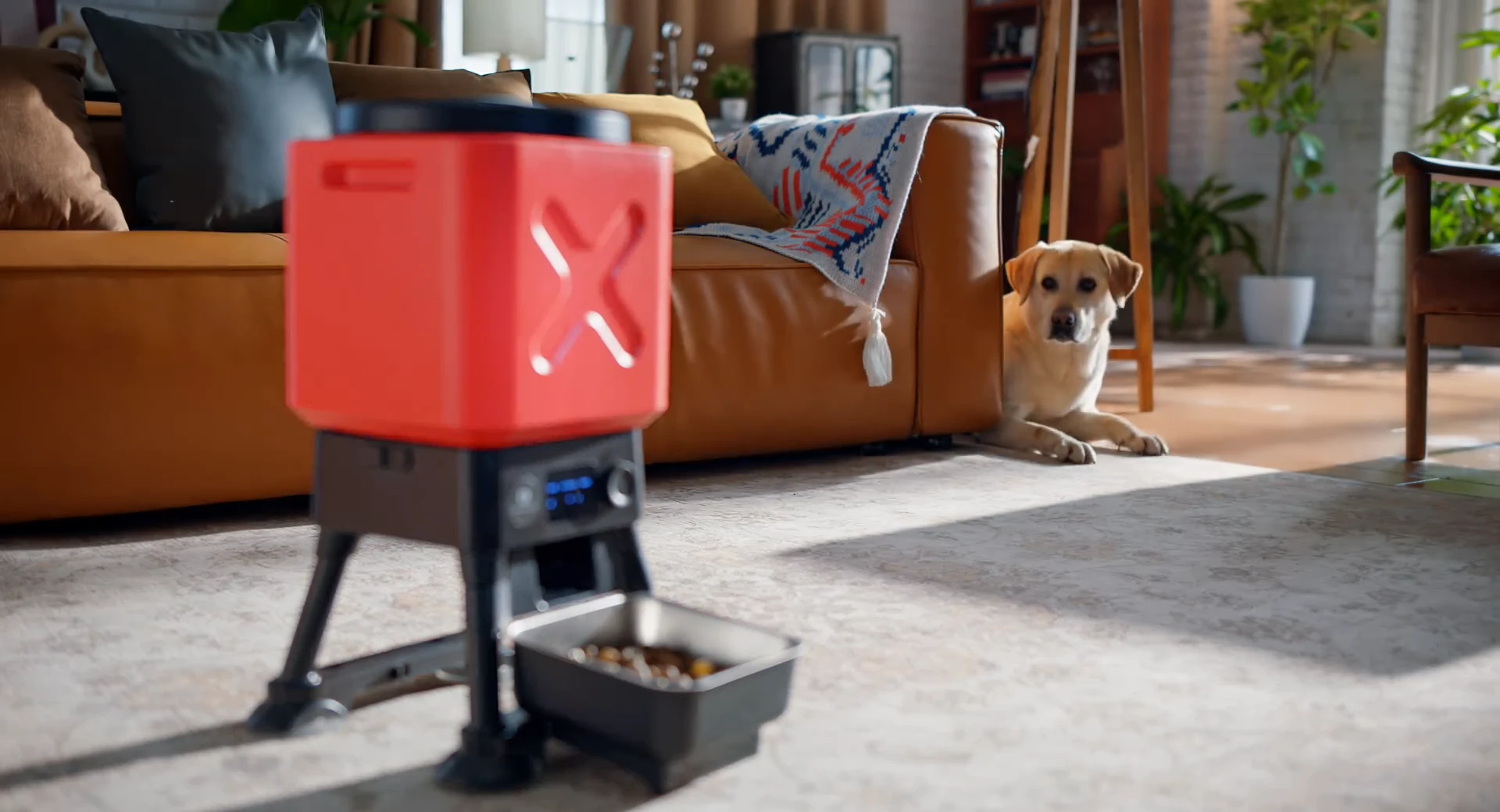 Load video: 喂食器·高清版_x264.mp4