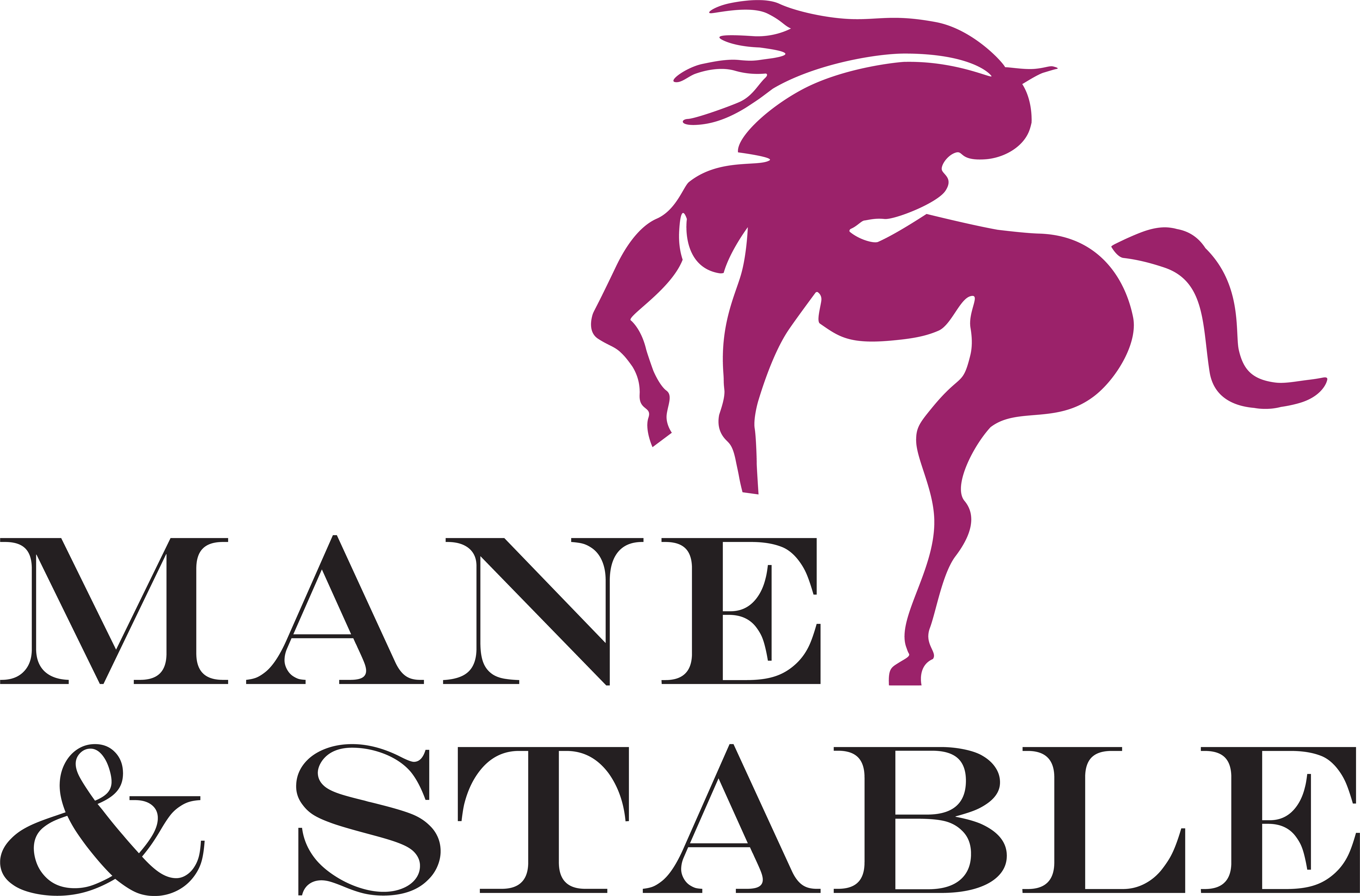 Mane & Stable