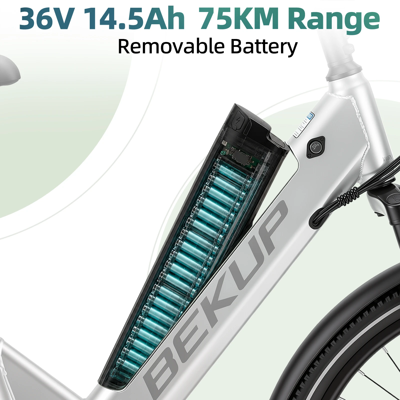 Y-电池-1.jpg