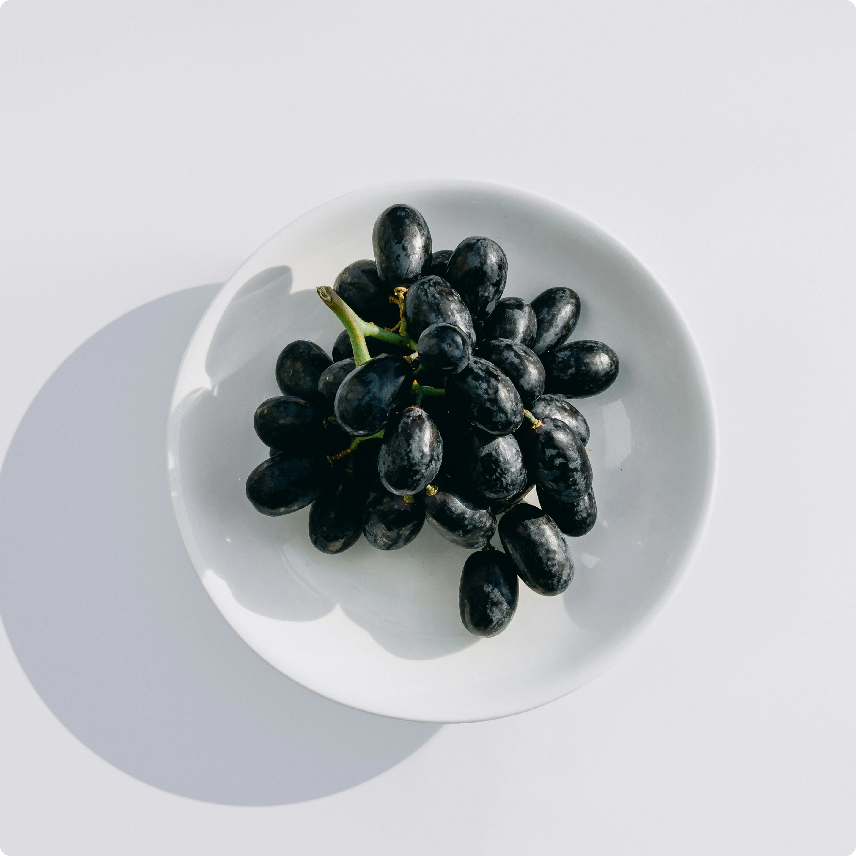 pexels-photo-7937494-1.png