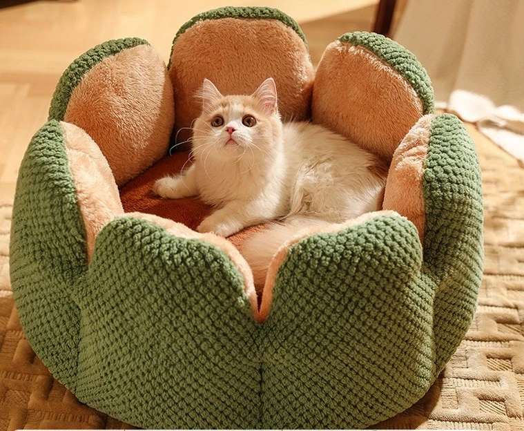 1be6e80e-eee1-4d8a-a19a-25f24934f7e5.jpg?bid=2406250259081937100