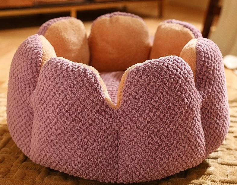 de55627d-08aa-4a6b-afca-7fadcfc8bb57.jpg?bid=2406250259061930100